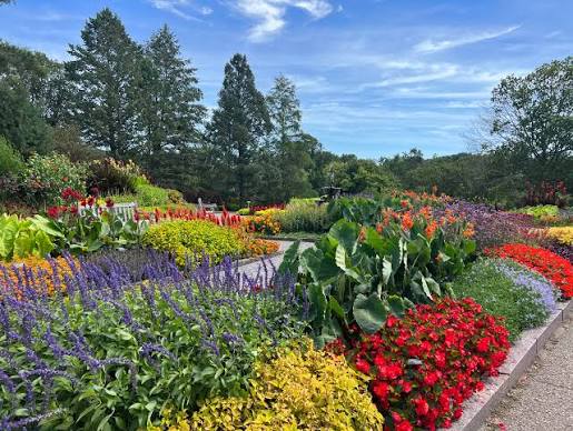 Lot 104: Grow, Bloom & Wander
