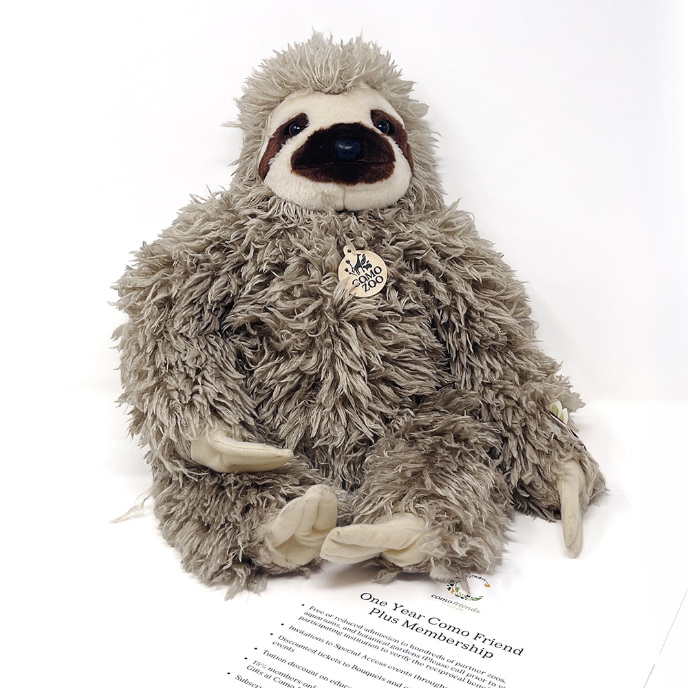 Lot 117: Como Park Zoo & Conservatory
