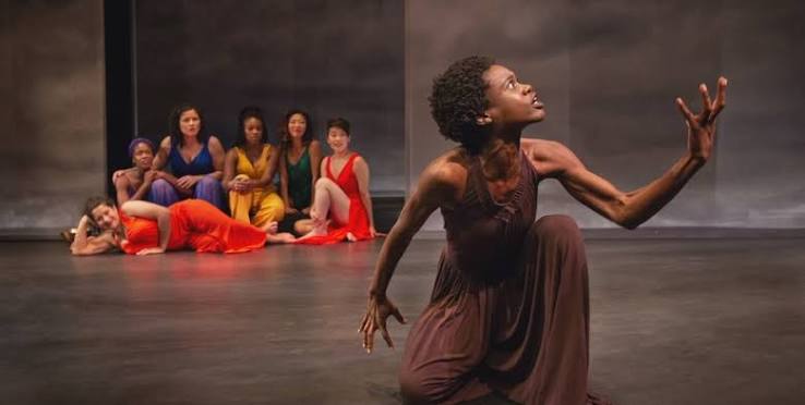 Lot 201: Penumbra's 50th Season